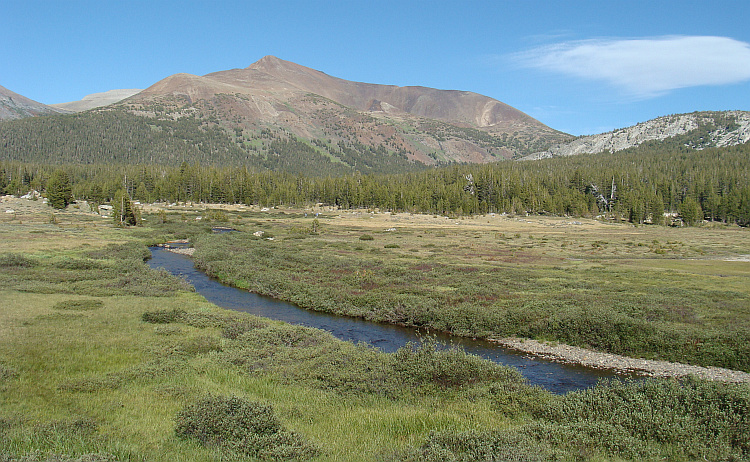Yosemite National Park