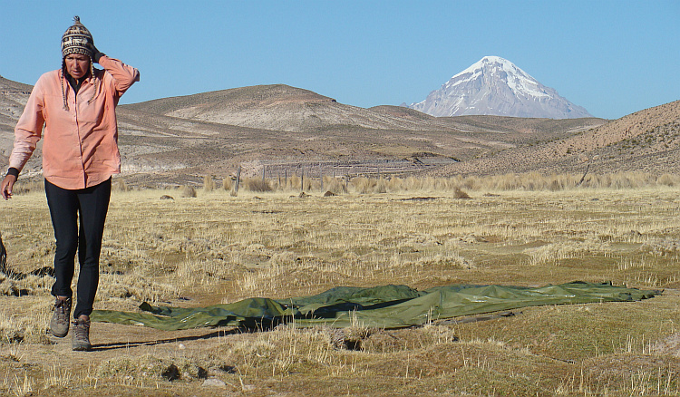 Karin on the campsite on the Altiplano