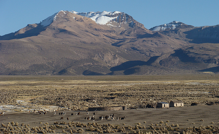 The Altiplano between Sajama and the Chilean border