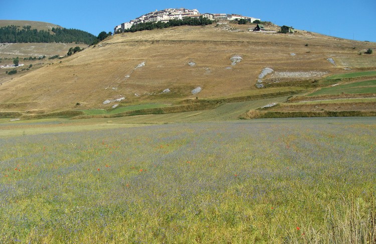 Castelluccio