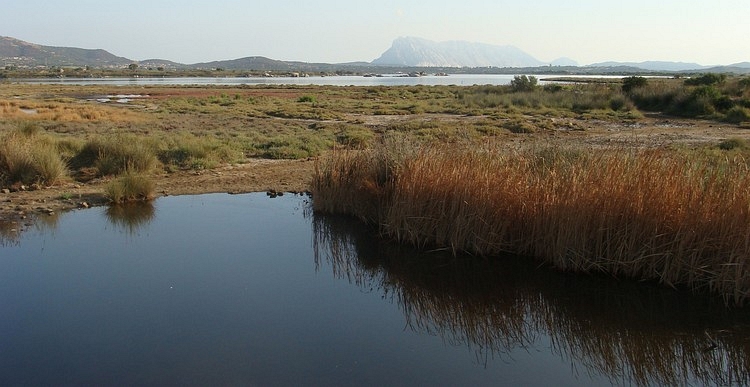 Sardegna coast between San Teodoro and Olbia