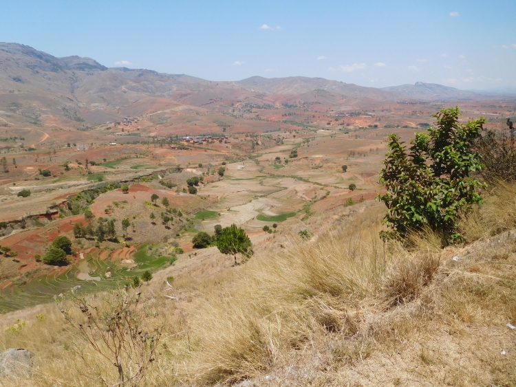 Between Fianarantsoa and Ambalavao